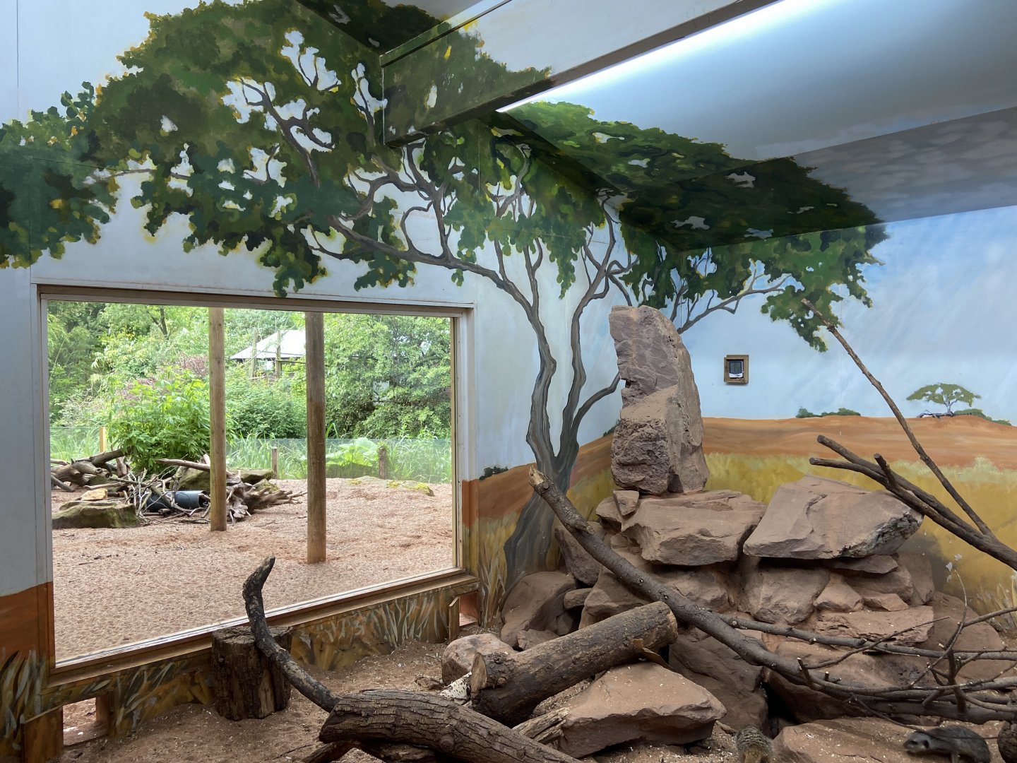 Bristol Zoo Meerkat Lookout