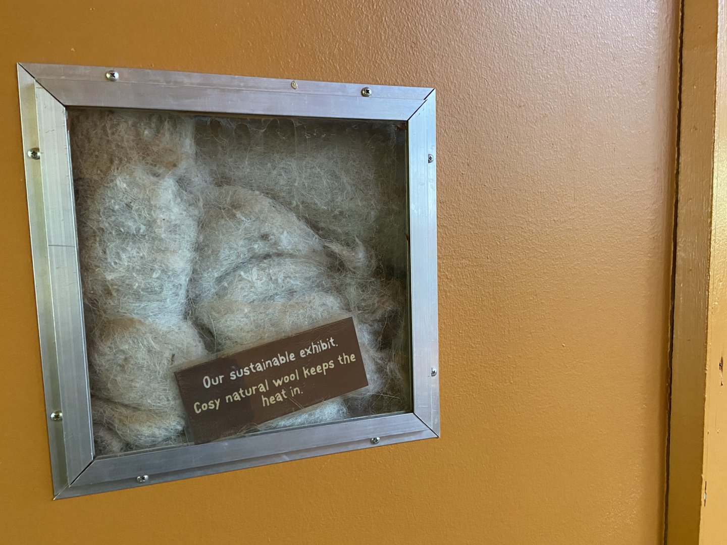 Bristol Zoo Meerkat Lookout