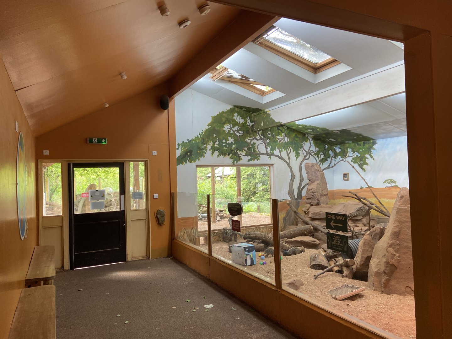 Bristol Zoo Meerkat Lookout