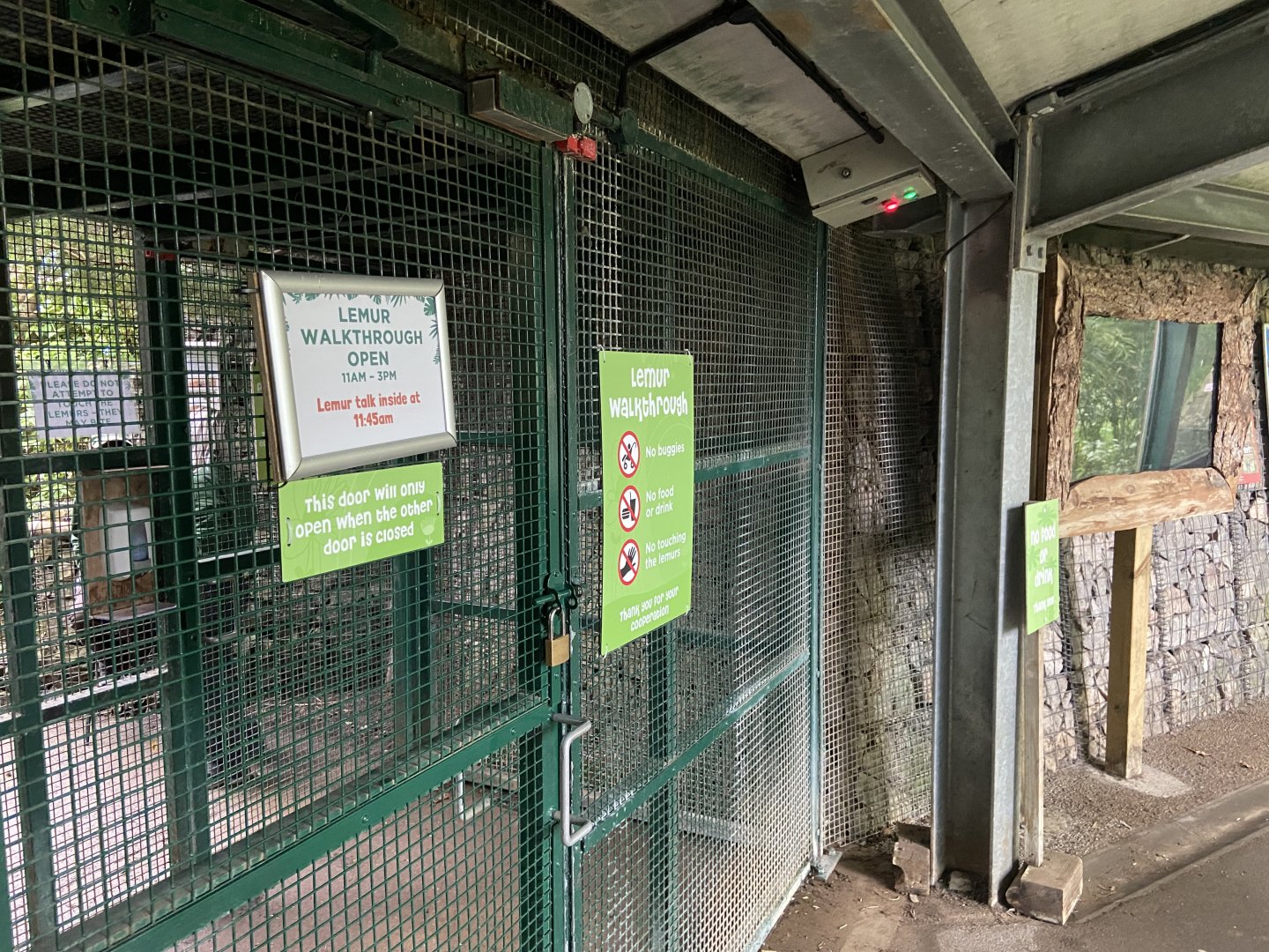 Bristol Zoo Monkey Jungle lemur walkthrough