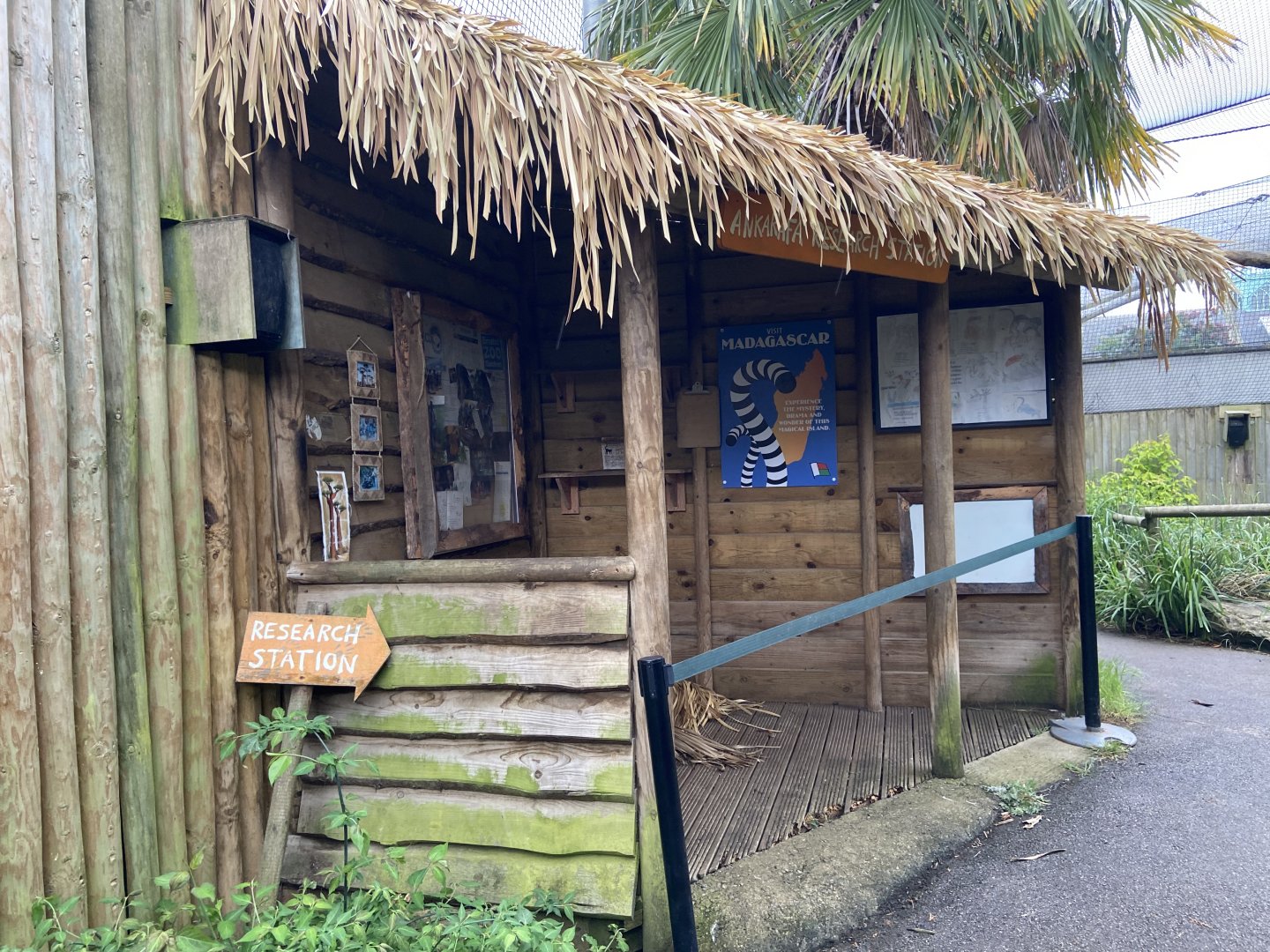 Bristol Zoo Monkey Jungle lemur walkthrough