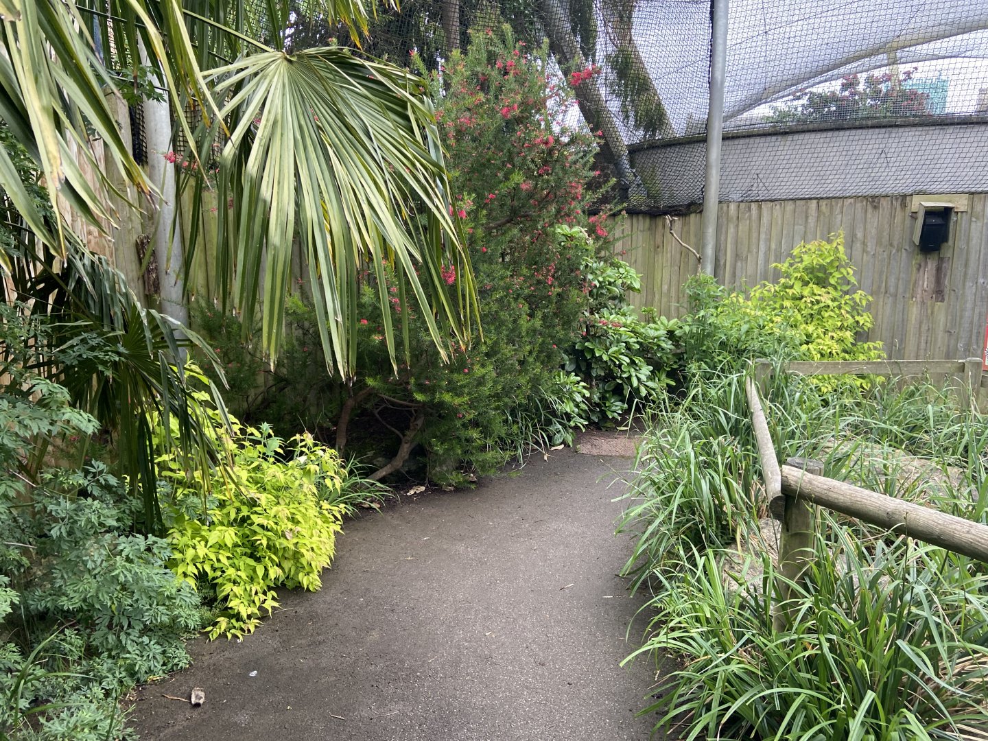 Bristol Zoo Monkey Jungle lemur walkthrough