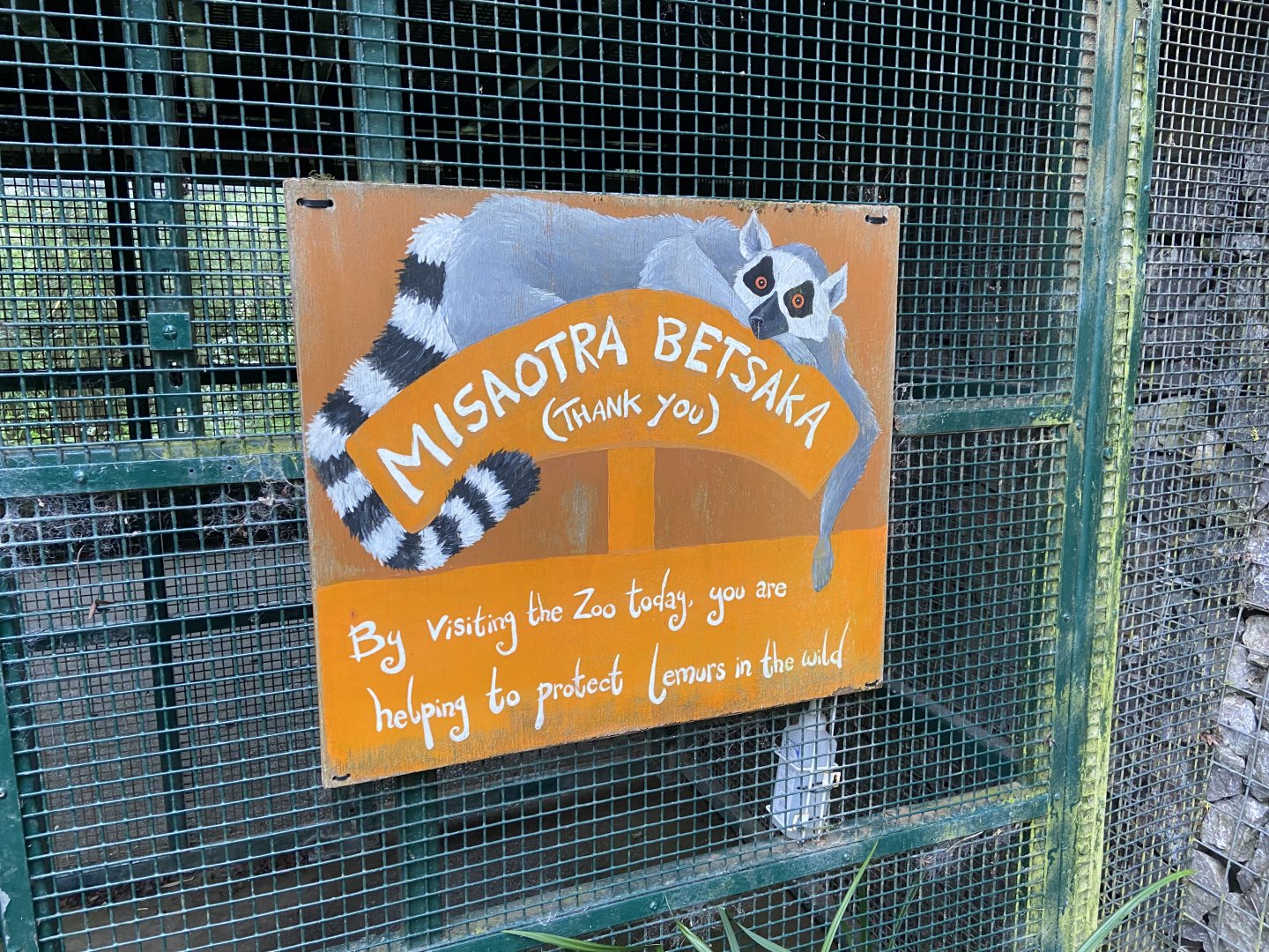 Bristol Zoo Monkey Jungle lemur walkthrough