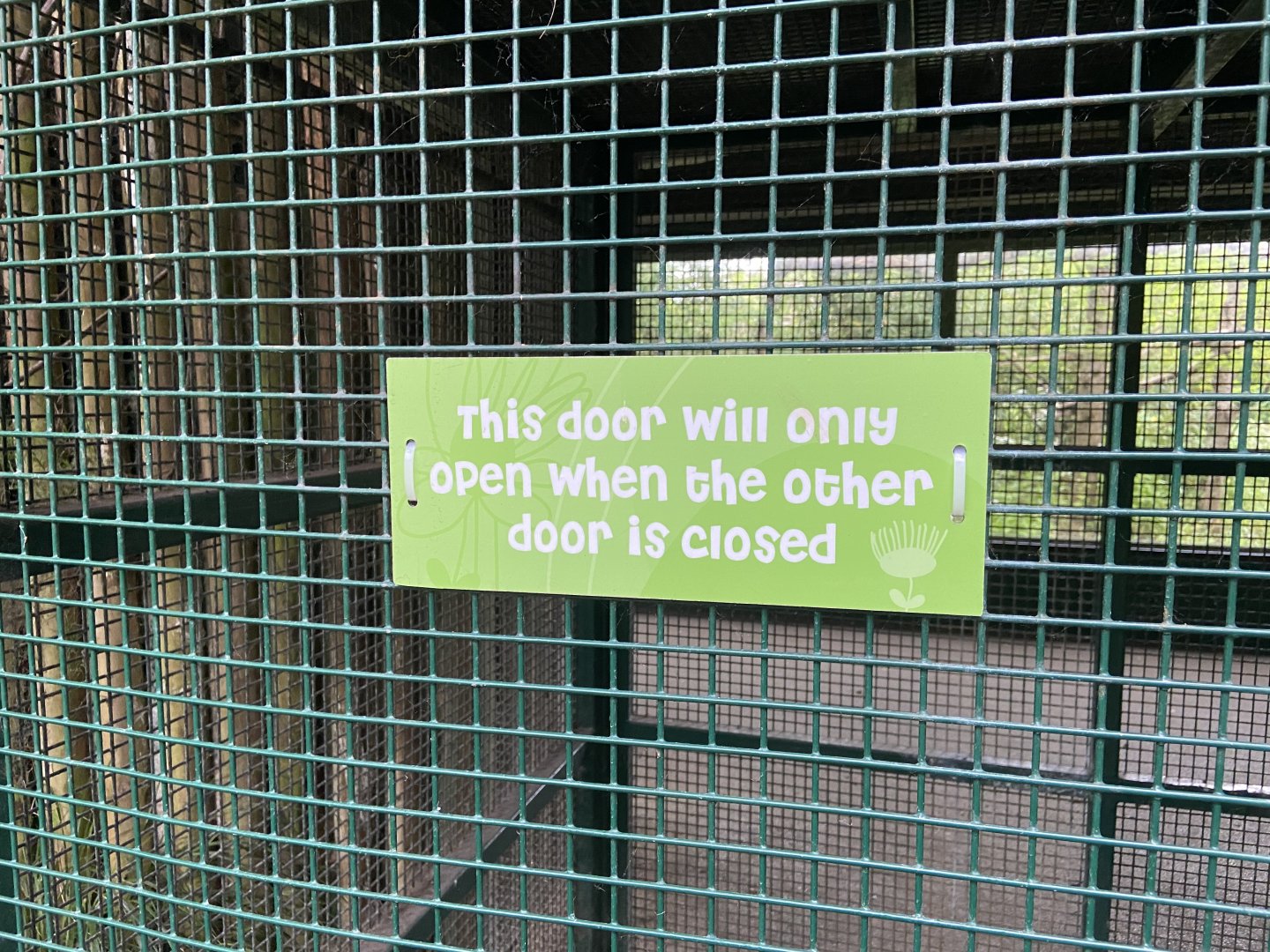 Bristol Zoo Monkey Jungle lemur walkthrough