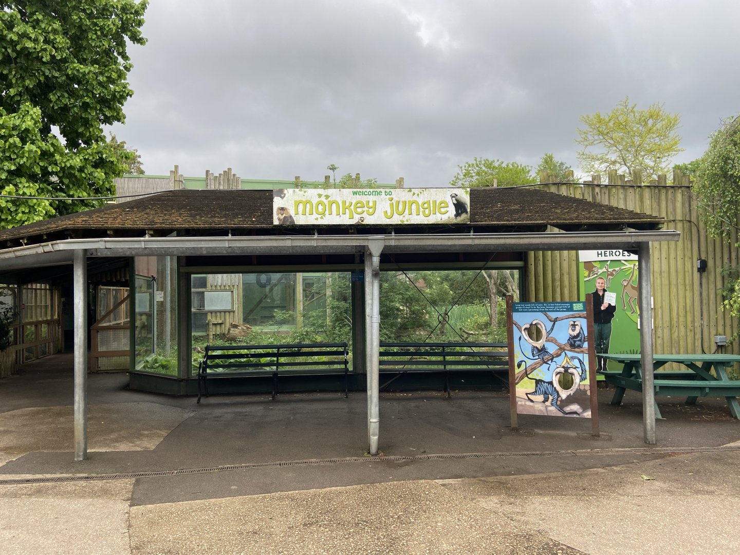 Bristol Zoo Monkey Jungle