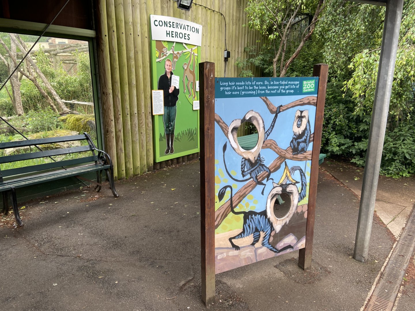 Bristol Zoo Monkey Jungle