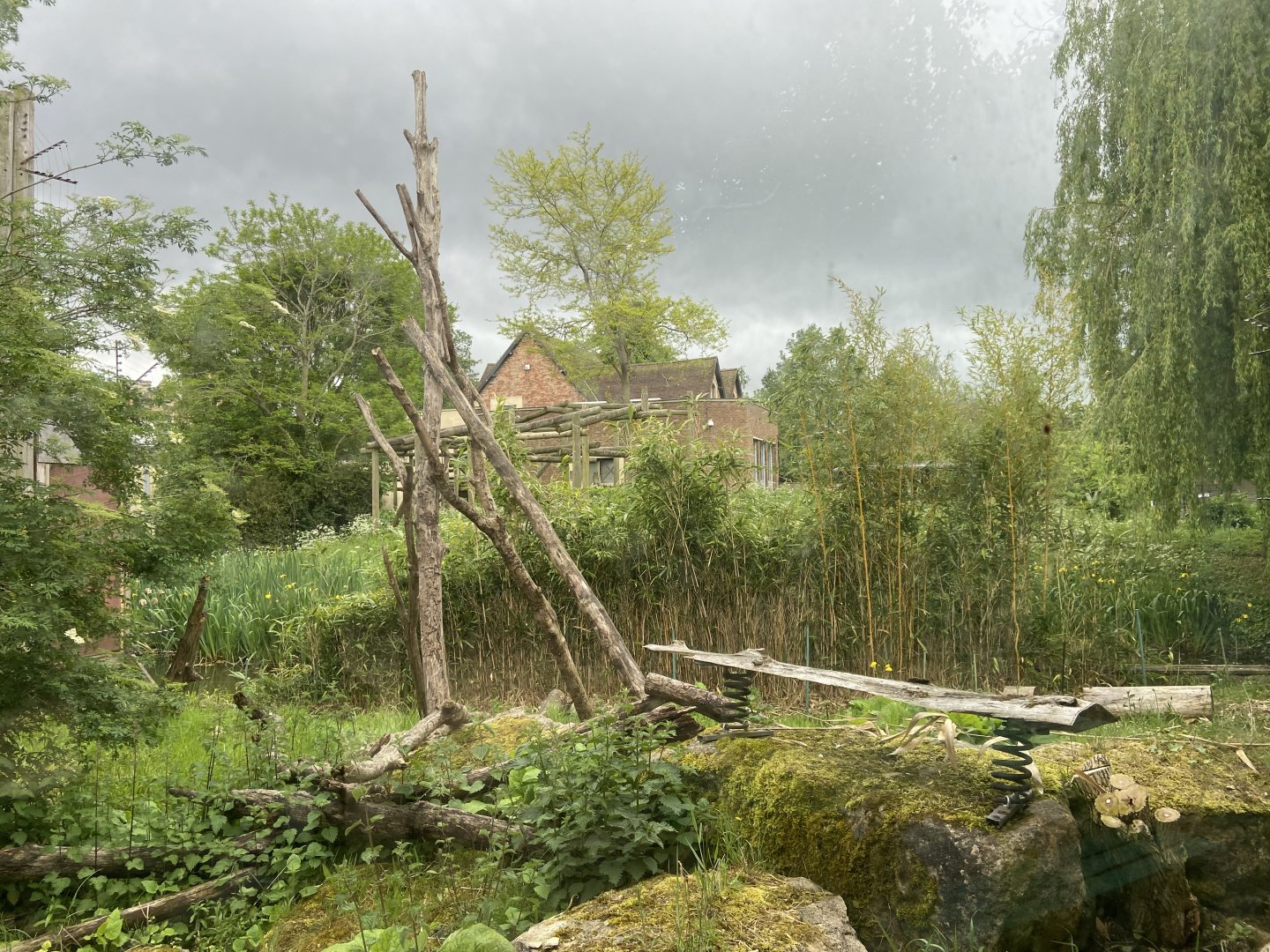 Bristol Zoo Monkey Jungle