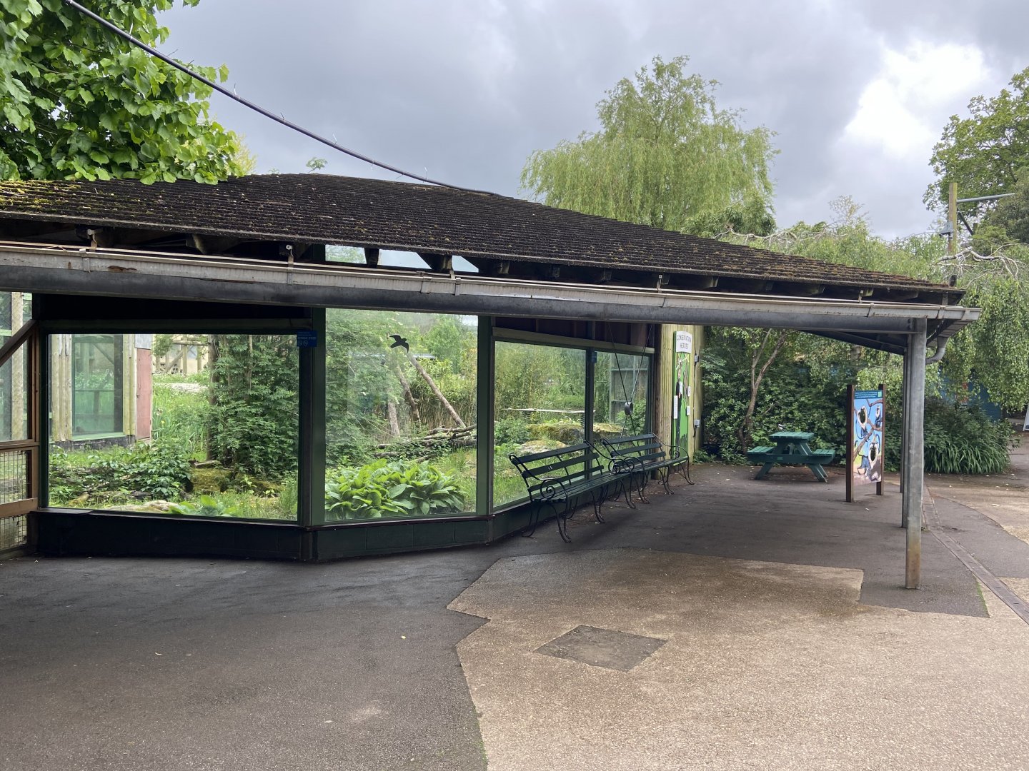 Bristol Zoo Monkey Jungle