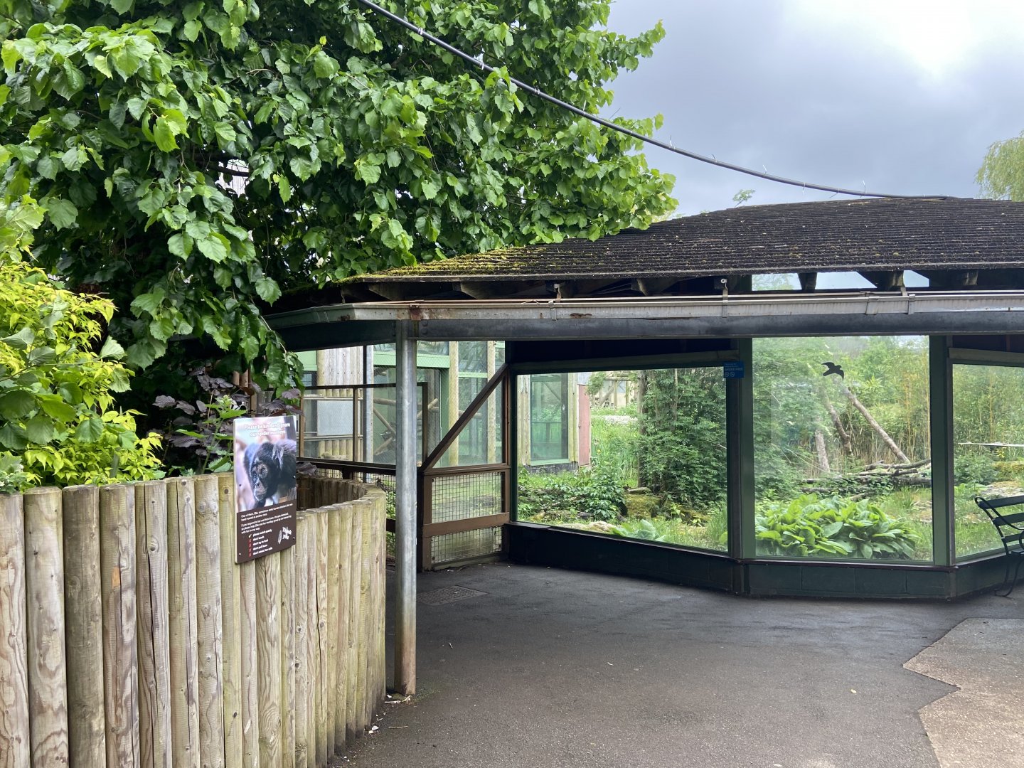 Bristol Zoo Monkey Jungle