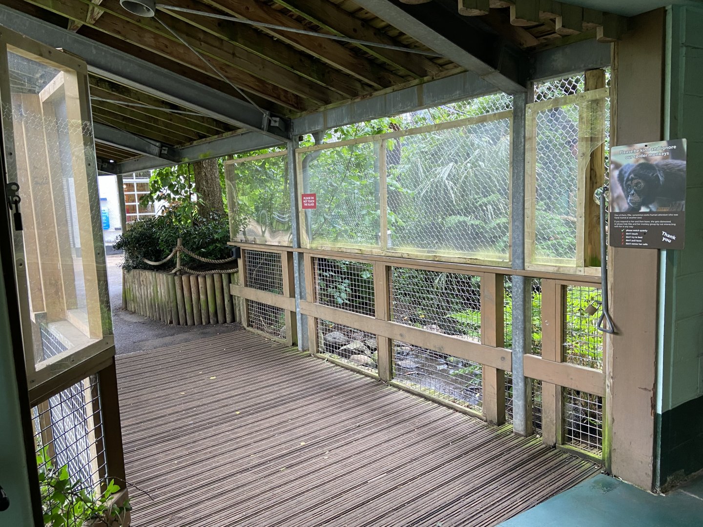 Bristol Zoo Monkey Jungle