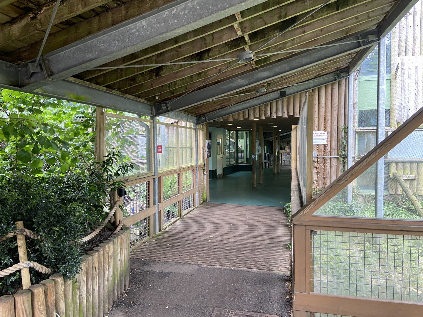 Bristol Zoo Monkey Jungle