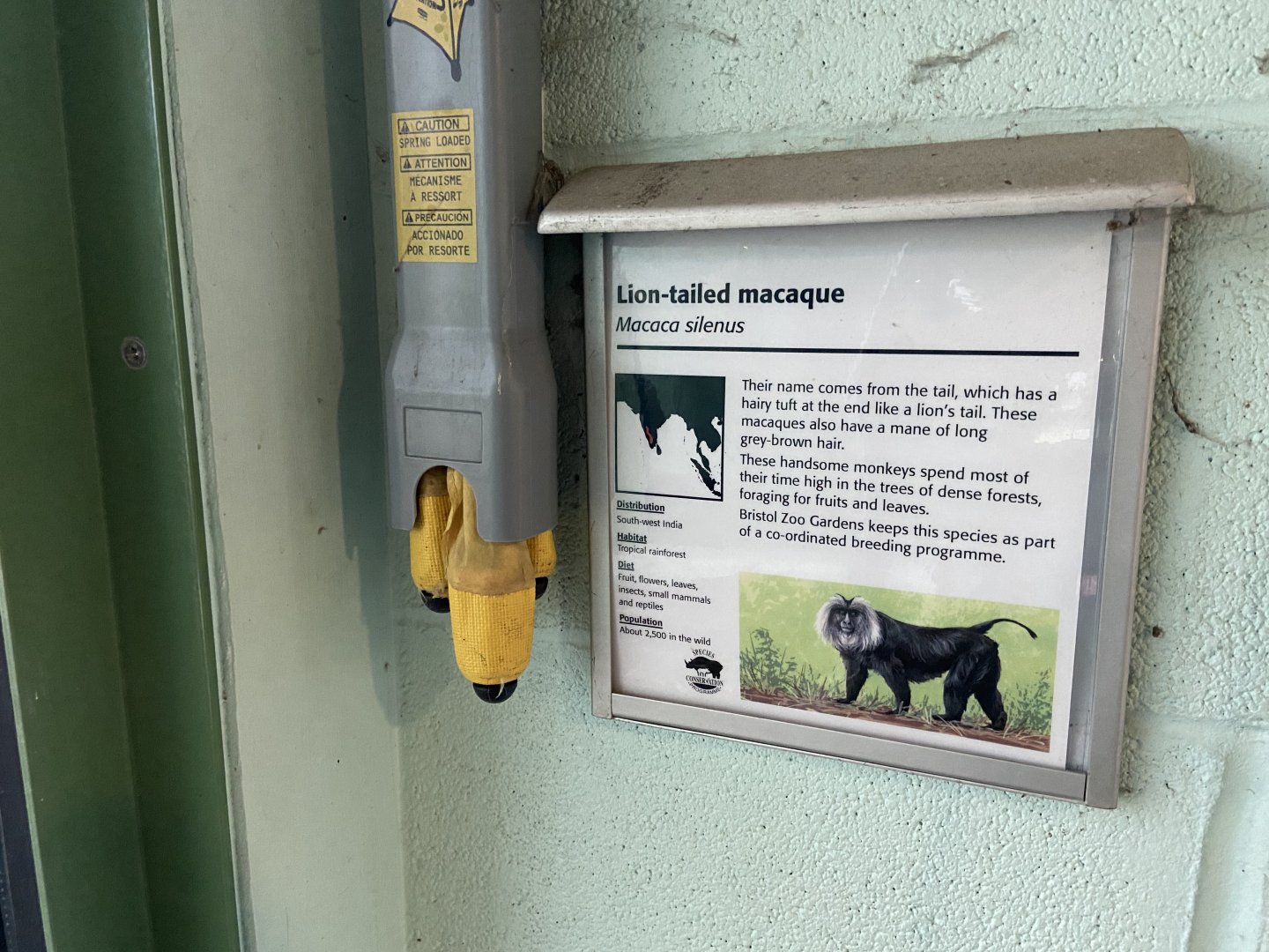 Bristol Zoo Monkey Jungle