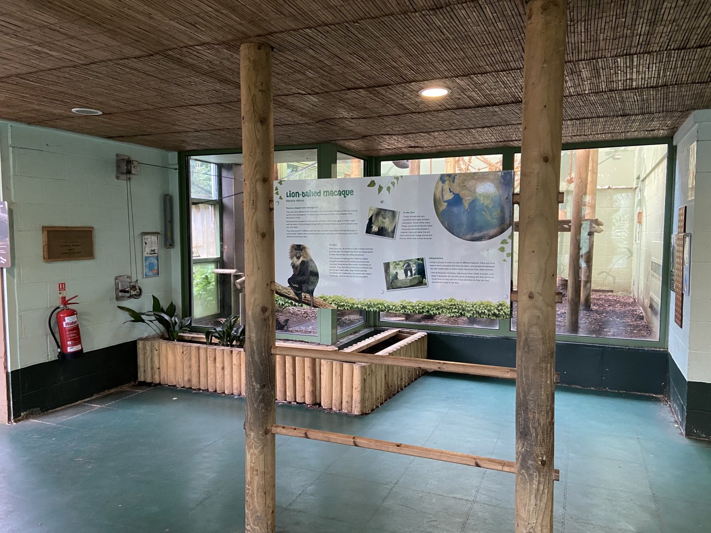 Bristol Zoo Monkey Jungle