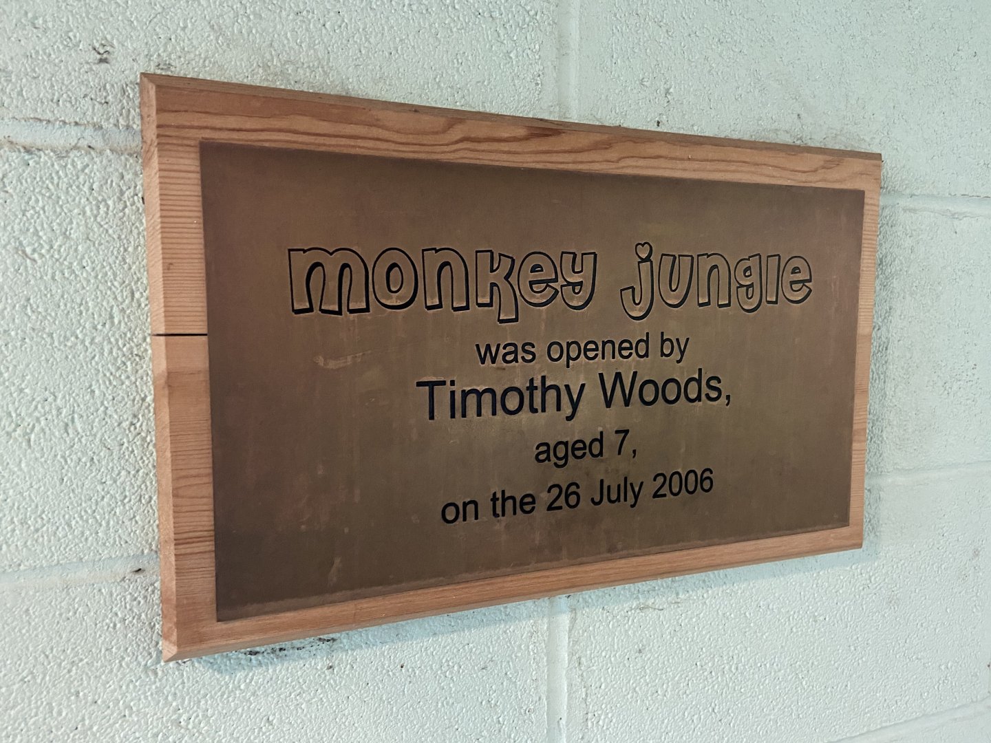 Bristol Zoo Monkey Jungle