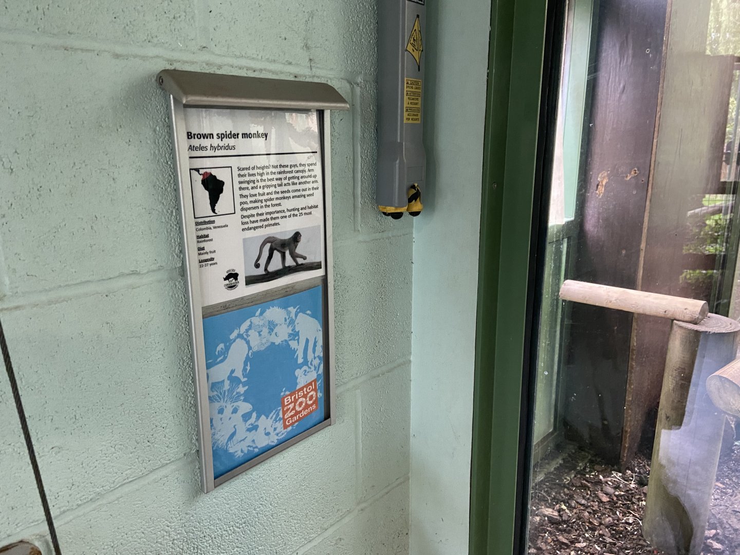 Bristol Zoo Monkey Jungle