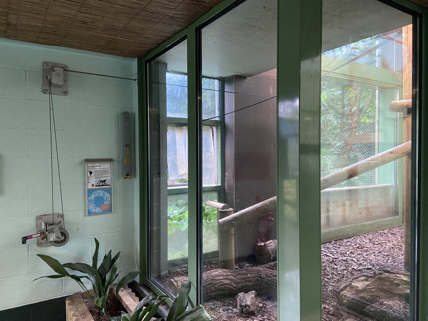 Bristol Zoo Monkey Jungle