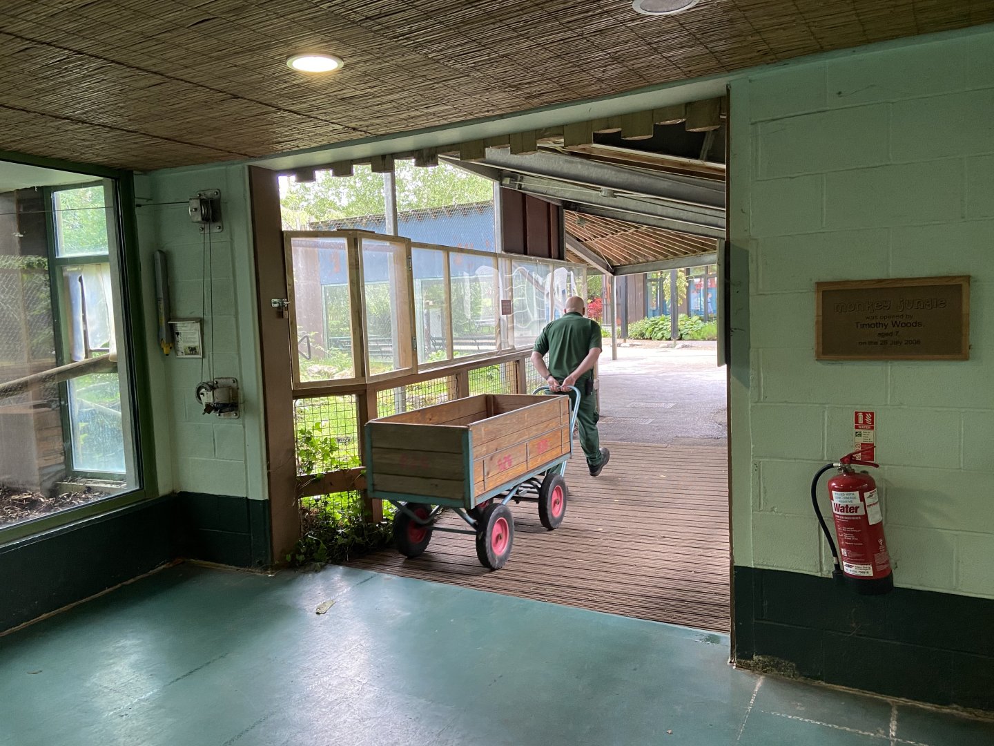 Bristol Zoo Monkey Jungle