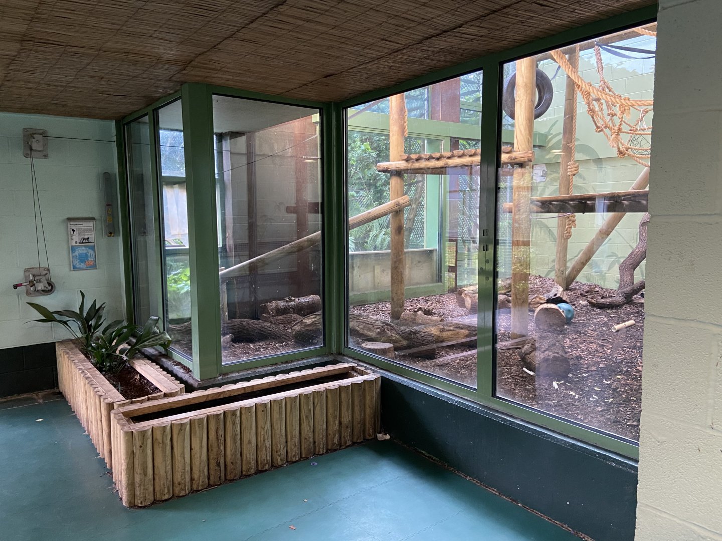 Bristol Zoo Monkey Jungle