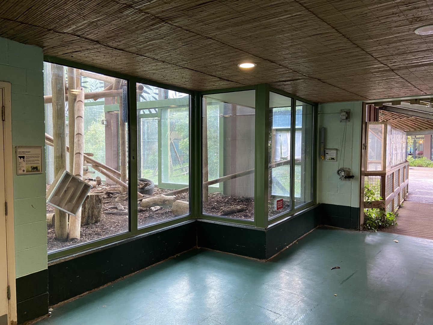 Bristol Zoo Monkey Jungle