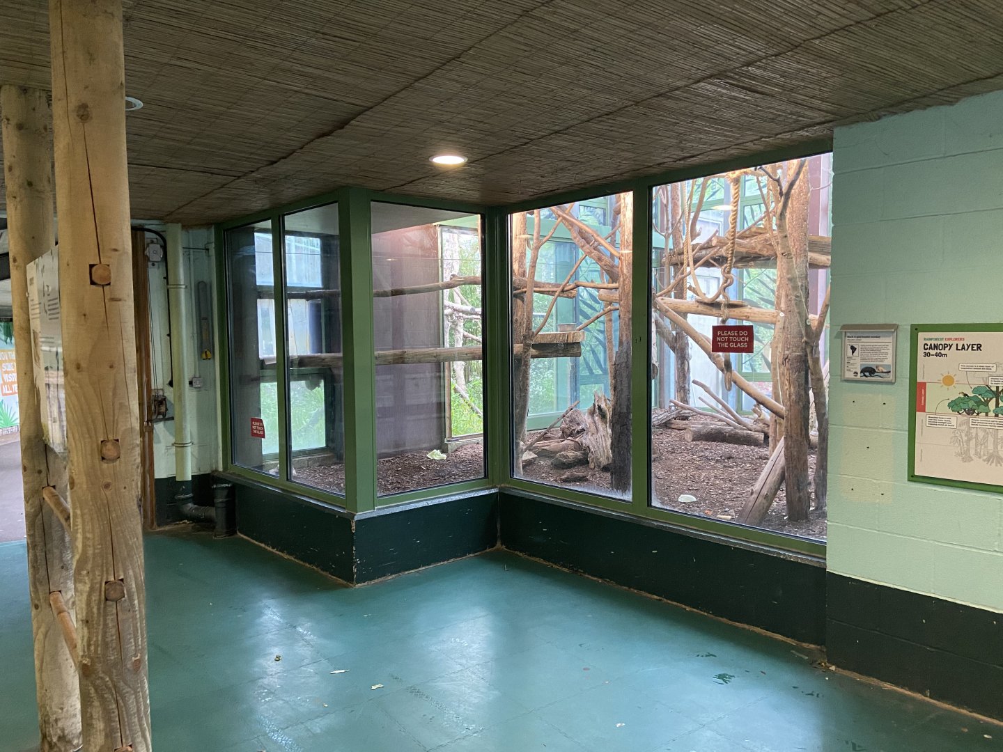 Bristol Zoo Monkey Jungle