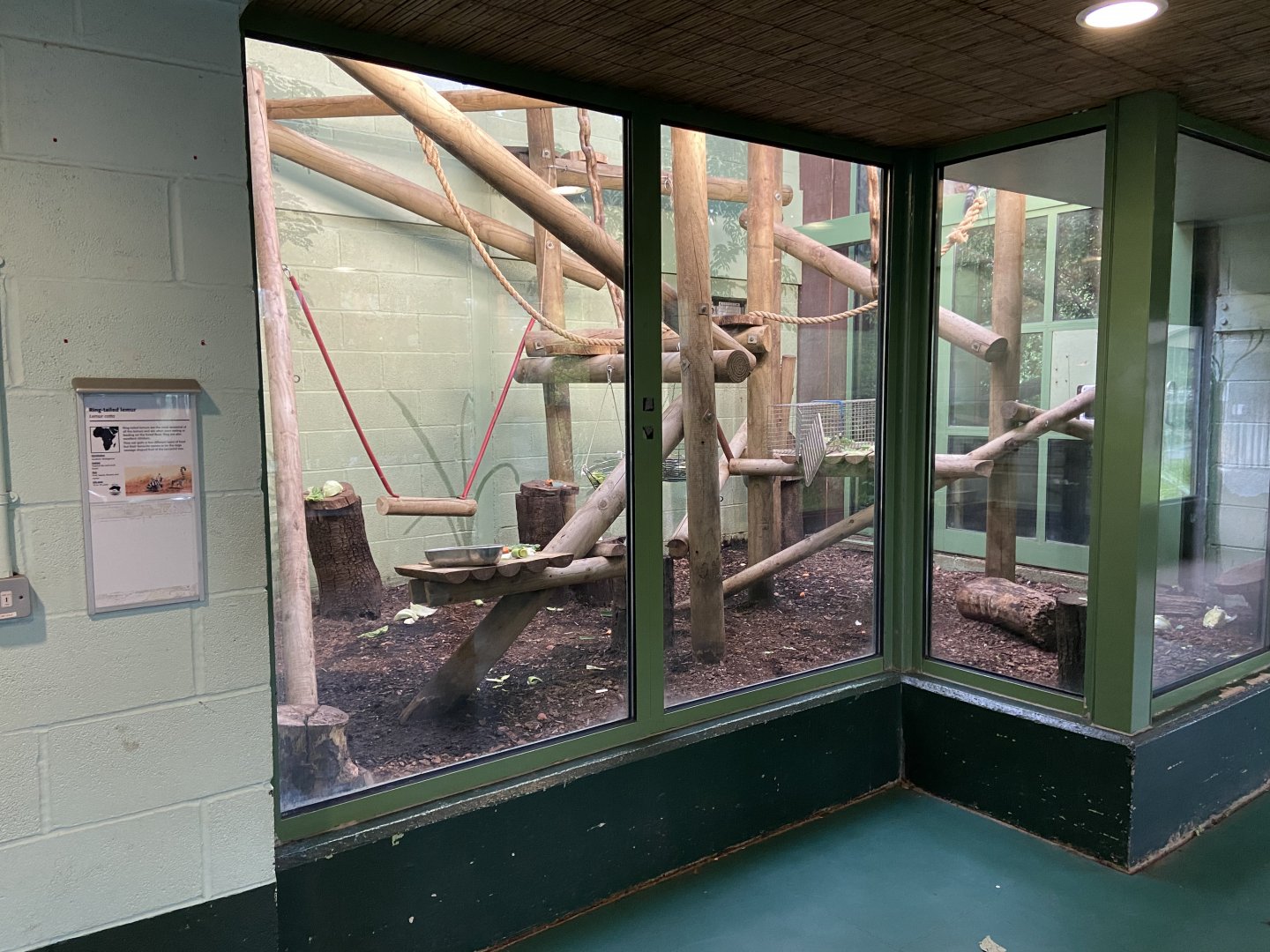 Bristol Zoo Monkey Jungle