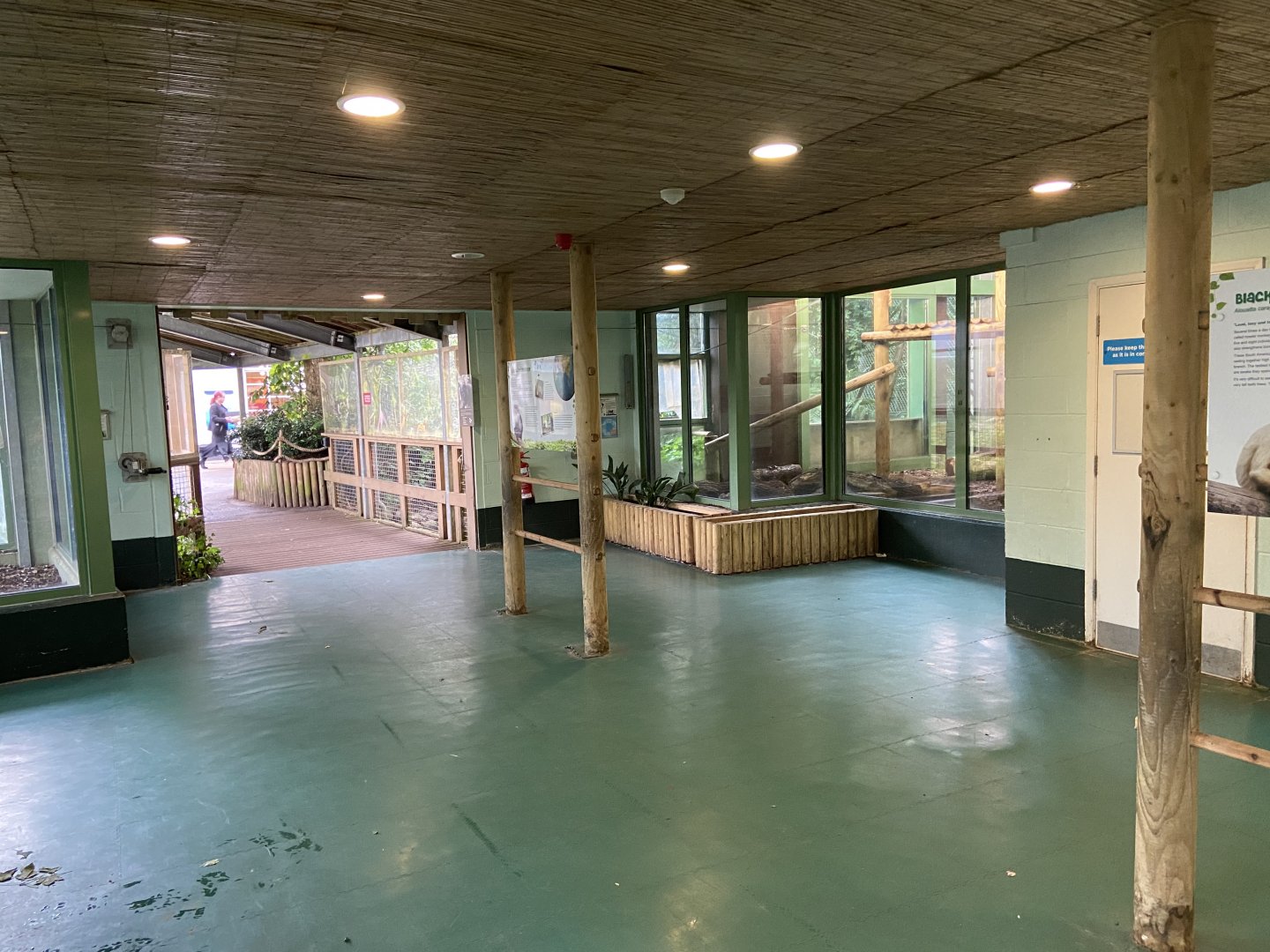 Bristol Zoo Monkey Jungle