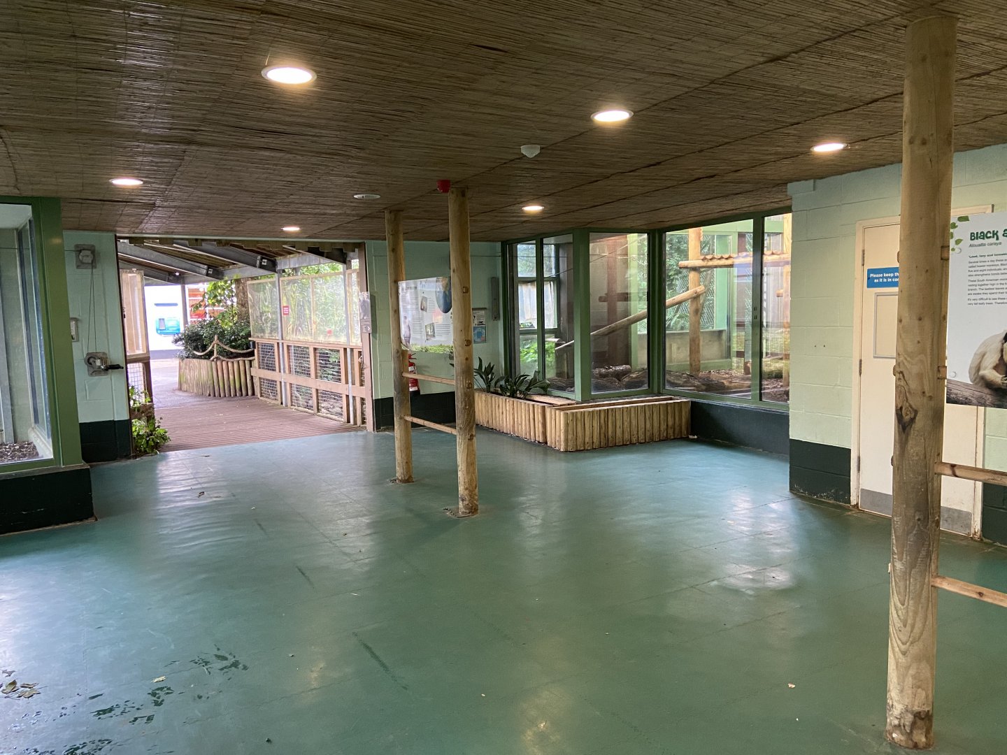 Bristol Zoo Monkey Jungle