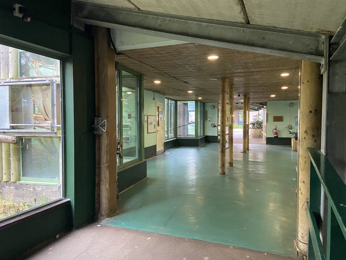 Bristol Zoo Monkey Jungle