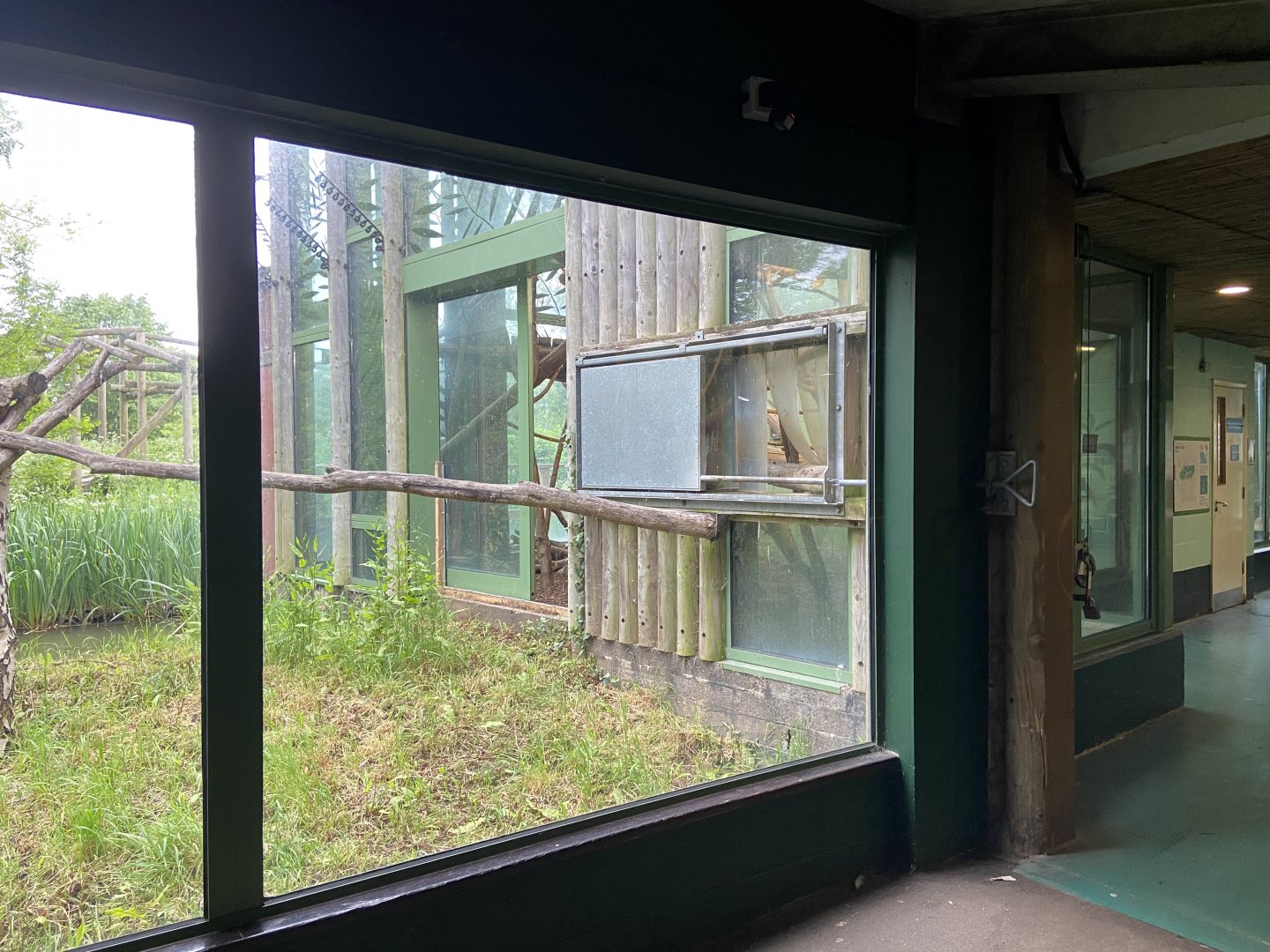 Bristol Zoo Monkey Jungle