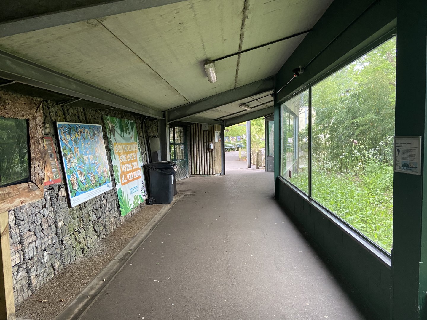 Bristol Zoo Monkey Jungle