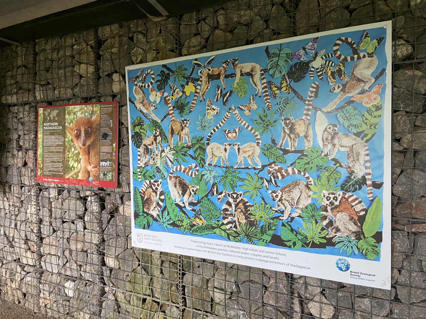 Bristol Zoo Monkey Jungle