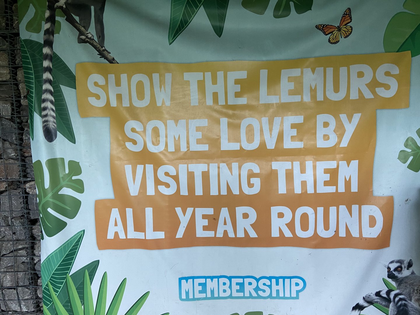 Bristol Zoo Monkey Jungle