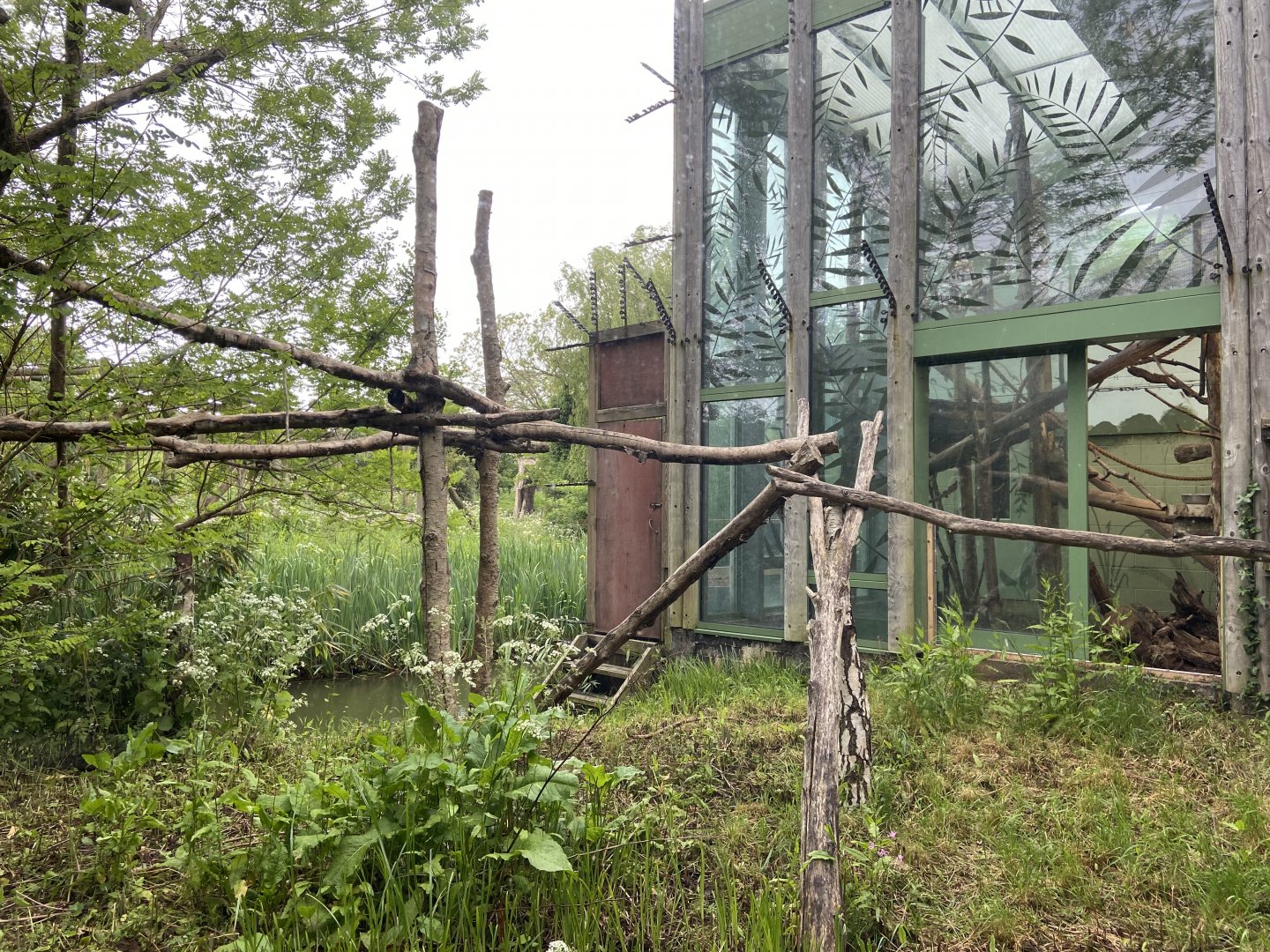 Bristol Zoo Monkey Jungle