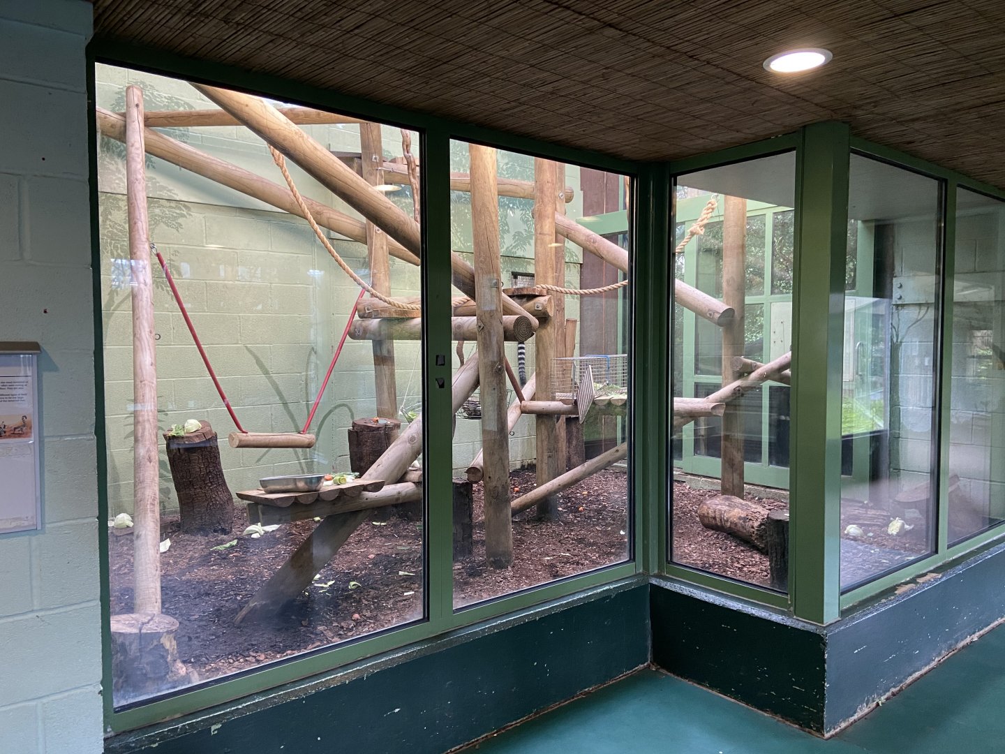 Bristol Zoo Monkey Jungle