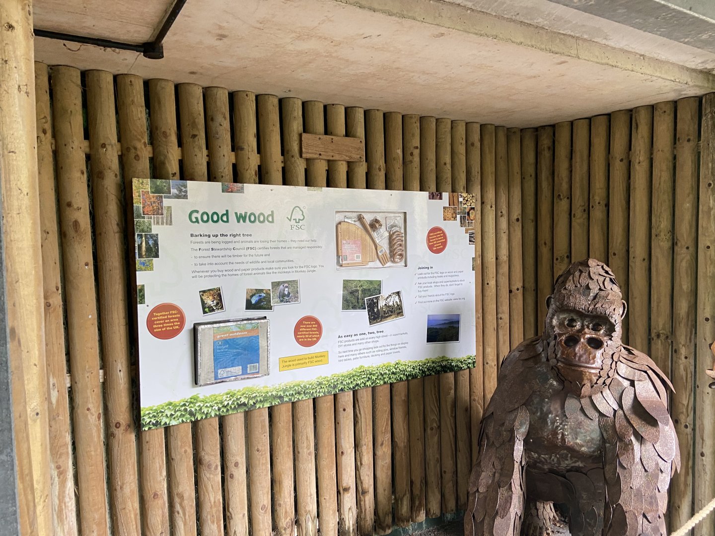 Bristol Zoo Monkey Jungle