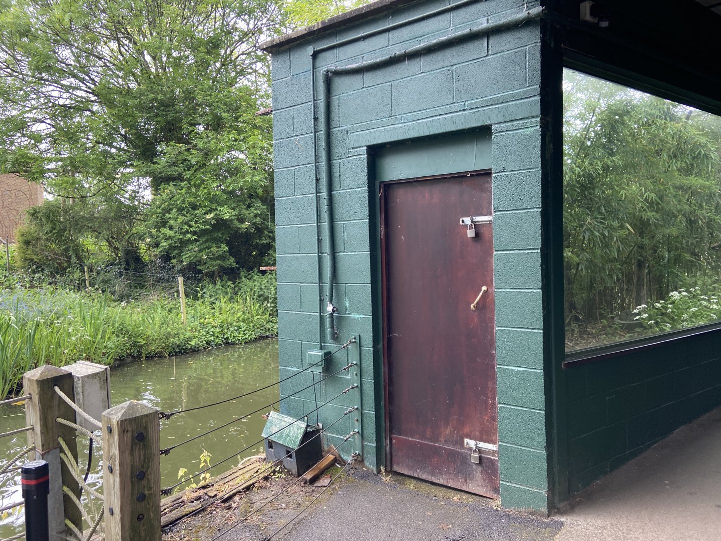 Bristol Zoo Monkey Jungle