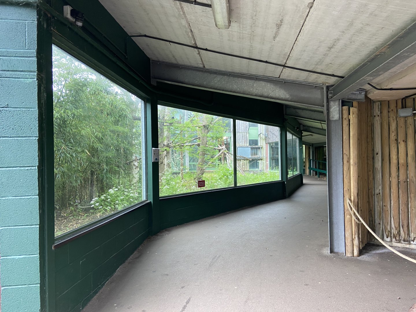 Bristol Zoo Monkey Jungle