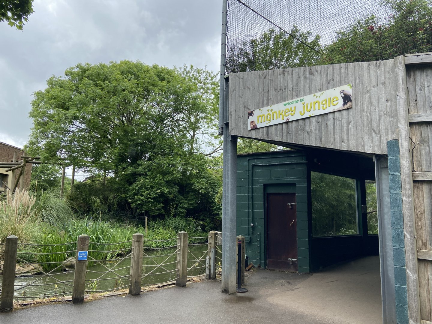 Bristol Zoo Monkey Jungle