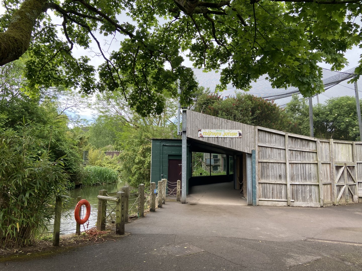 Bristol Zoo Monkey Jungle