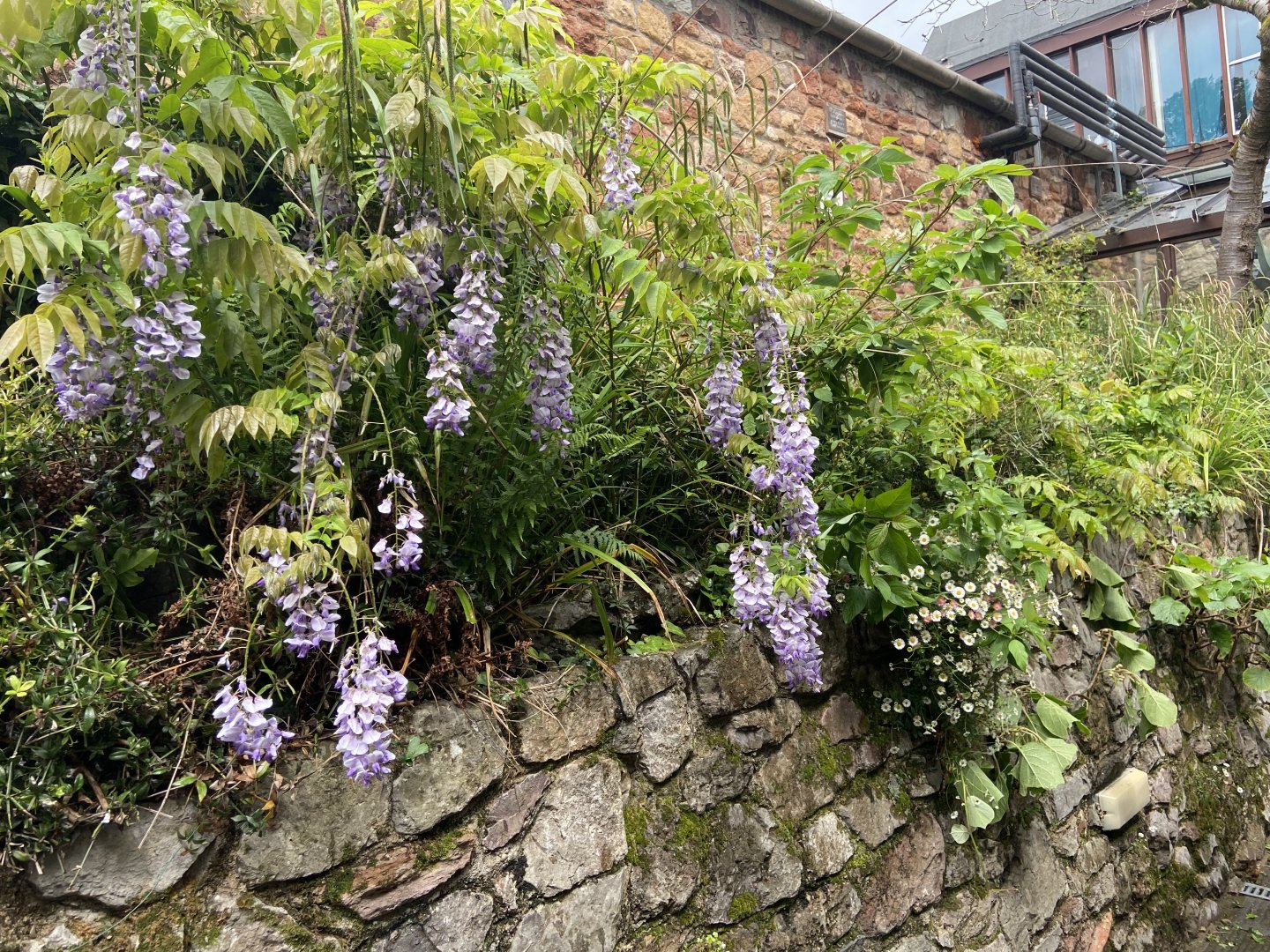 Bristol zoo path to aquarium and side of reptile house