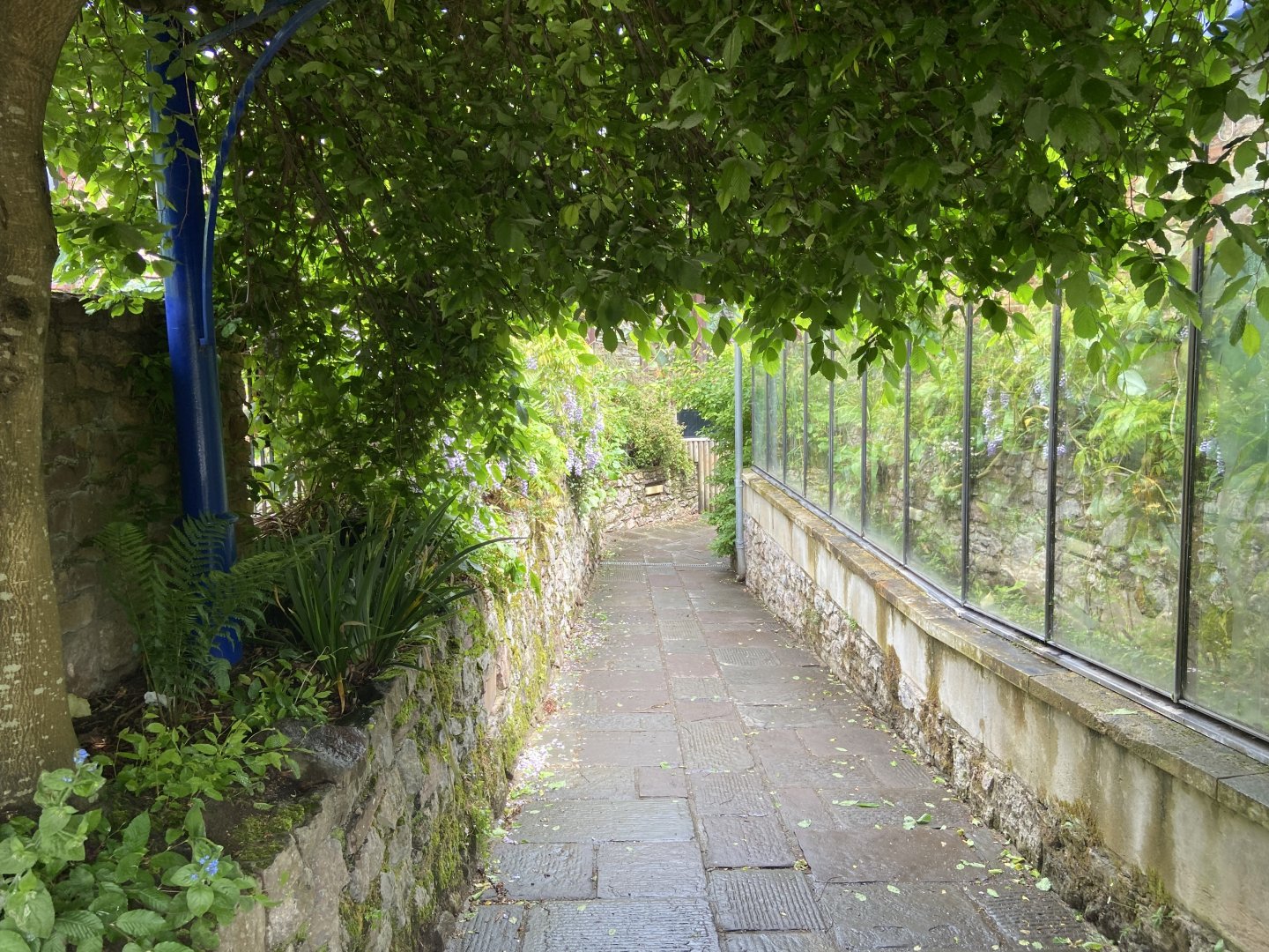 Bristol Zoo path to aquarium