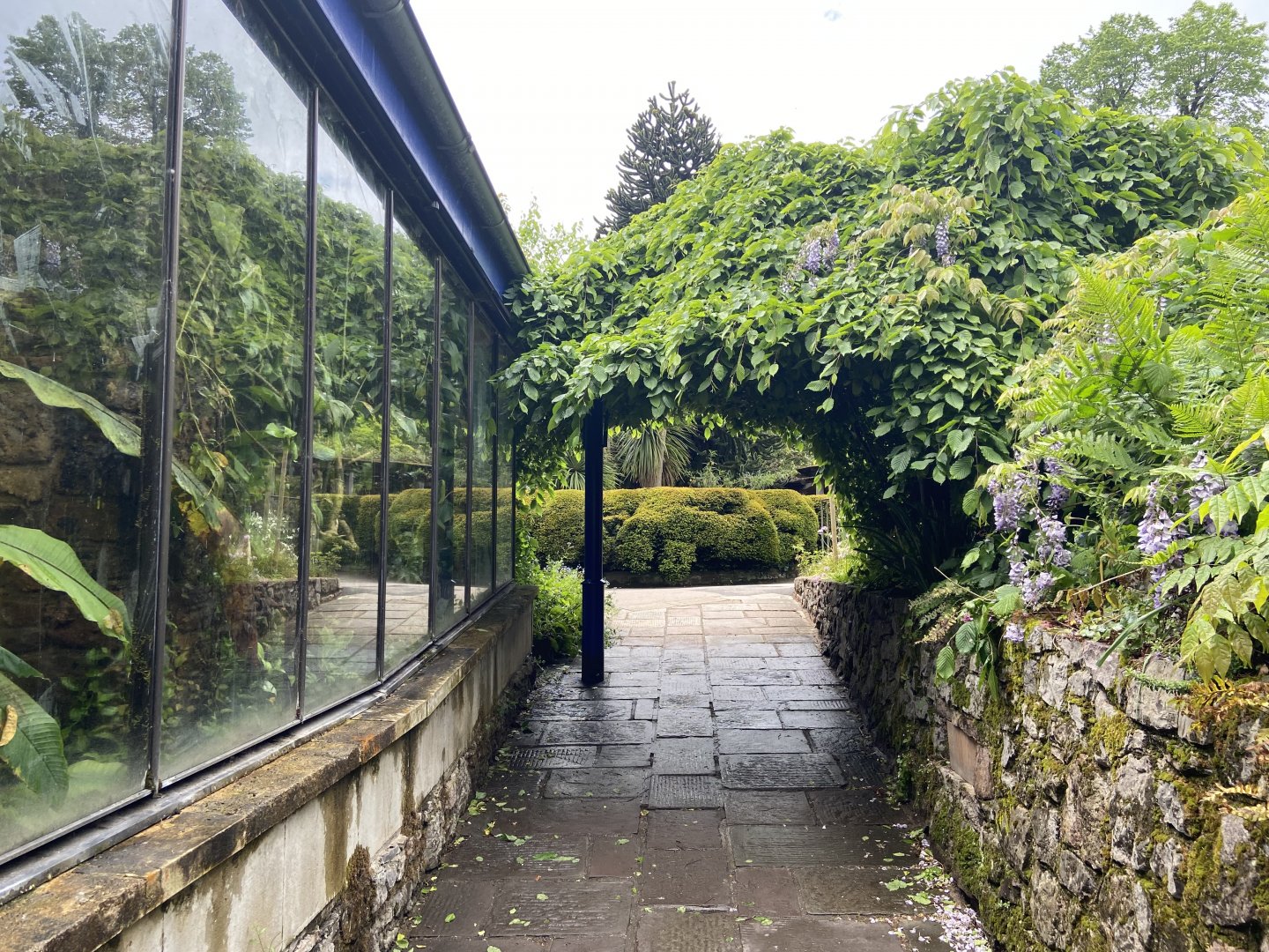 Bristol Zoo path to aquarium