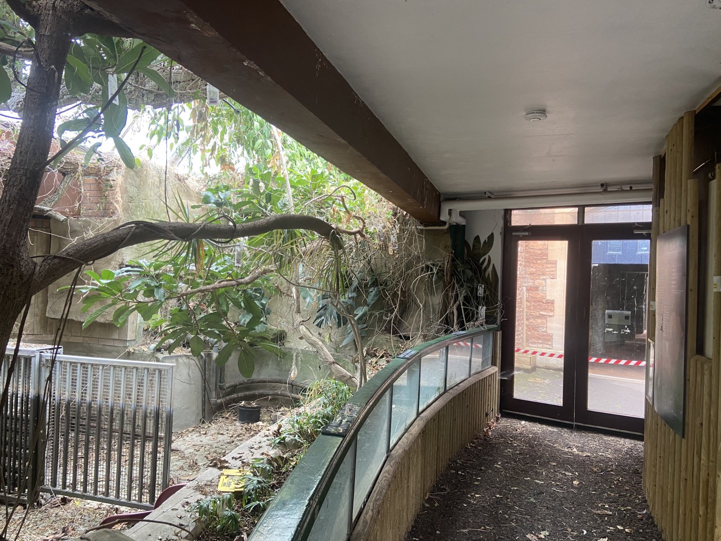 Bristol Zoo Pygmy Hippo