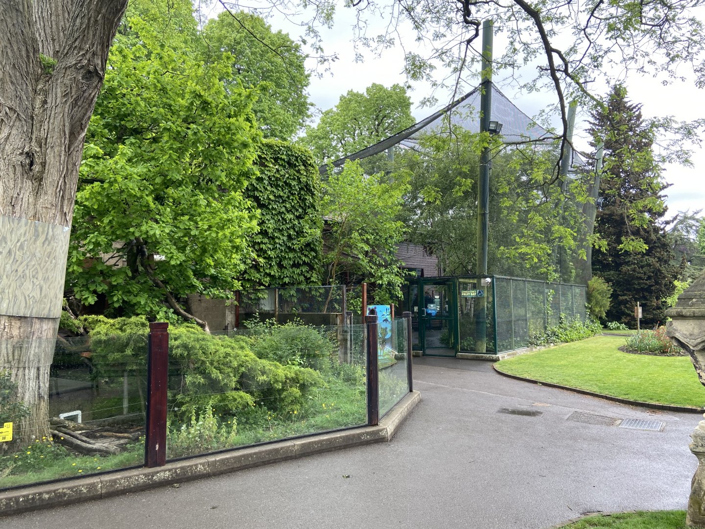 Bristol Zoo red panda and fruit bats