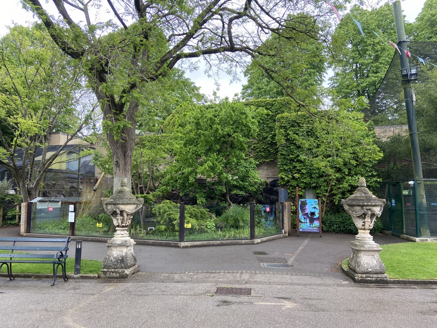 Bristol Zoo red panda