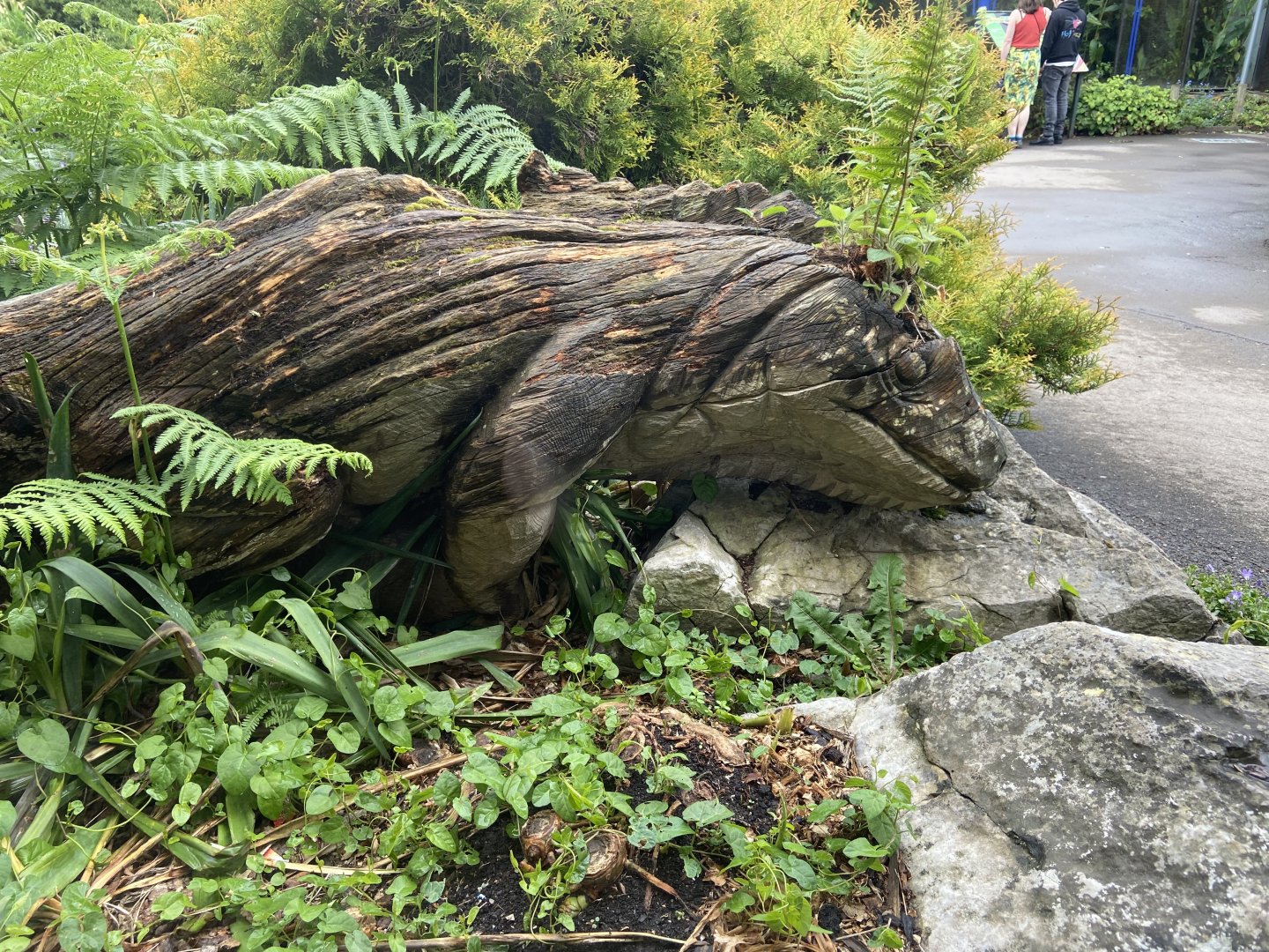 Bristol Zoo reptile house