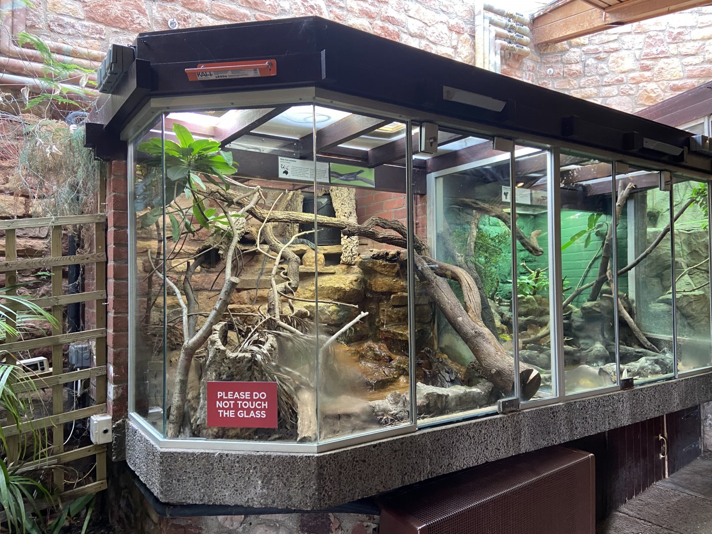Bristol Zoo reptile house