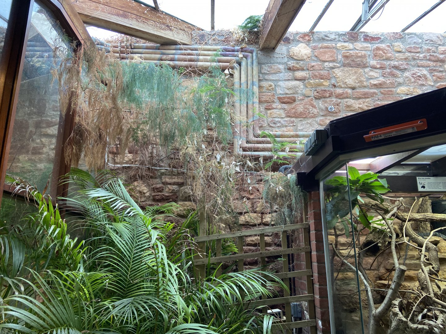 Bristol Zoo reptile house