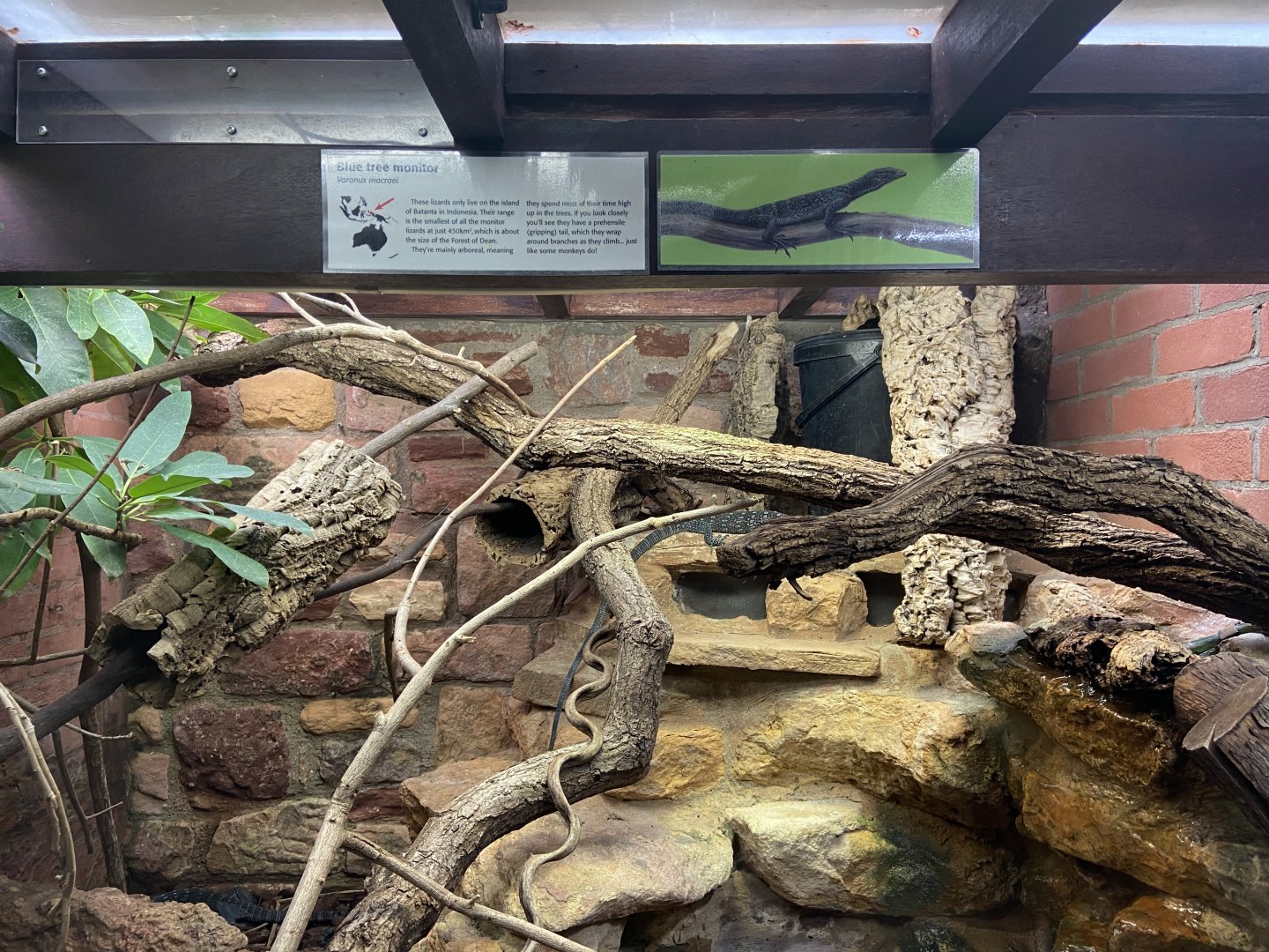 Bristol Zoo reptile house