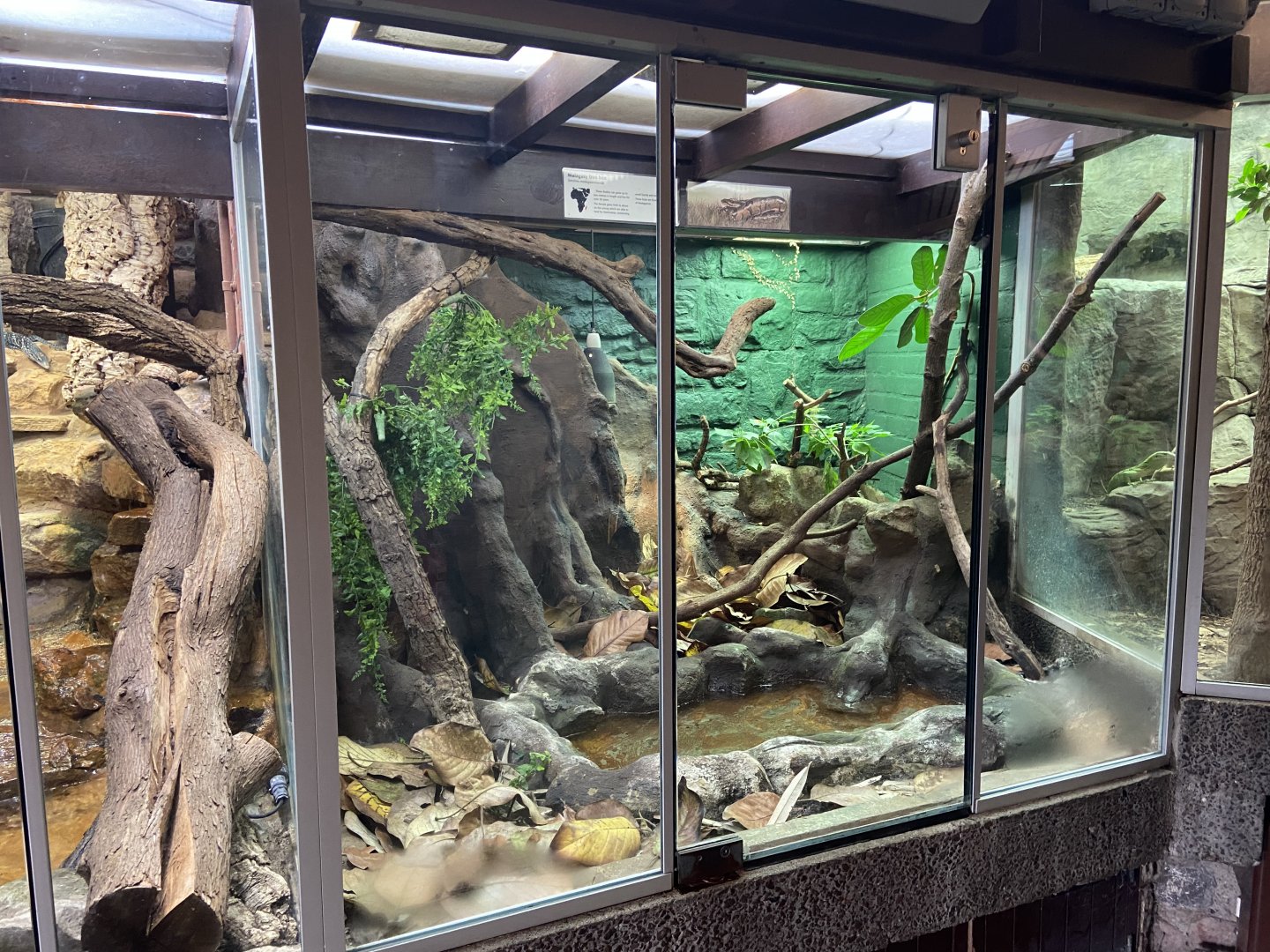 Bristol Zoo reptile house